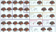 The language network in native speakers of diverse languages. Image credit: Malik-Moraleda et al., doi: 10.1038/s41593-022-01114-5.