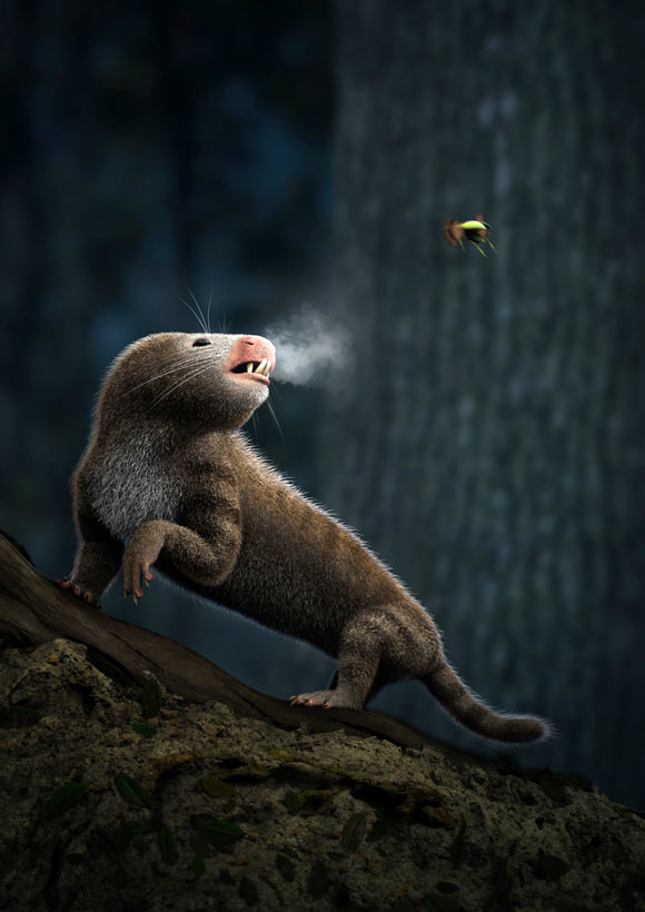 A mammaliamorph breathing out hot hair in a frigid night, hinting at endothermy. Image credit: Luzia Soares.