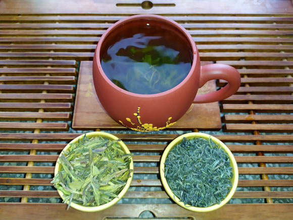 Hodges et al. found that consuming green tea extract for four weeks can reduce blood sugar levels and improve gut health by lowering inflammation and decreasing gut permeability. Image credit: Sci-News.com.
