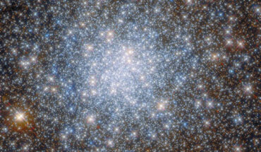 This Hubble image shows the bulge metal-rich globular cluster NGC 6638. Image credit: NASA / ESA / Hubble / R. Cohen.