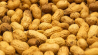 Intake of 35 g of peanuts prior to two main meals per day resulted in weight loss comparable to a traditional low-fat weight loss diet without preloads; greater systolic blood pressure reductions were observed with peanut intake, which may lower cardiovascular disease risk. Image credit: Three-shots.