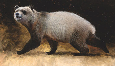 Life reconstruction of Agriarctos nikolovi. Image credit: Velizar Simeonovski.