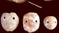 Small-shell version of octopus lures. Upper image: an ethnographic example from Tonga, made with two cowrie shell plates (Cypraea tigris), each with drilled holes, bound onto a gray stone sinker, using plaited sennit fiber, in the collection of the Pitt Rivers Museum, England. Middle and bottom rows: exterior and interior views of three cut and drilled dorsum pieces of Cypraea spp. shells of octopus lures (the ‘early from’ in the Marianas), excavated from the Mariana Islands, specifically from 1100 to 500 BCE at House of Taga (left), 1500 to 1100 BCE at Unai Bapot (center), and 1500 to 1100 BCE at House of Taga (right). Image credit: Carson & Hung, doi: 10.1080/00438243.2021.1930134.