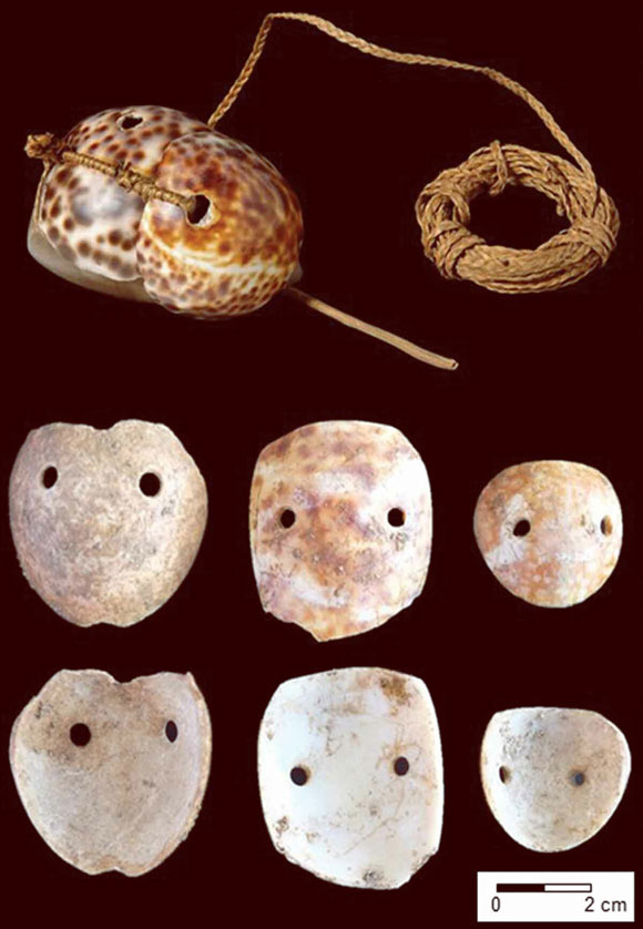 Small-shell version of octopus lures. Upper image: an ethnographic example from Tonga, made with two cowrie shell plates (Cypraea tigris), each with drilled holes, bound onto a gray stone sinker, using plaited sennit fiber, in the collection of the Pitt Rivers Museum, England. Middle and bottom rows: exterior and interior views of three cut and drilled dorsum pieces of Cypraea spp. shells of octopus lures (the ‘early from’ in the Marianas), excavated from the Mariana Islands, specifically from 1100 to 500 BCE at House of Taga (left), 1500 to 1100 BCE at Unai Bapot (center), and 1500 to 1100 BCE at House of Taga (right). Image credit: Carson & Hung, doi: 10.1080/00438243.2021.1930134.
