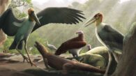 A possible scene at Liang Bua Cave around 70,000 years ago: Leptoptilos robustus challenges a juvenile Komodo dragon for access to the carcass of a dwarf proboscidean while other giant marabou storks, vultures and hominins look on. Image credit: Gabriel Ugueto.