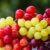 Grape consumption reduces fatty liver, extends lifespan, alters gene expression in the brain, changes metabolism, and has positive effects on behavior and cognition. Image credit: Nicky Pe.
