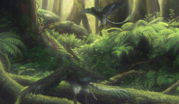 Jeholornis pooping out seeds from fruit, helping fruit-bearing plants take over the world. Image credit: Zhixin Han / Yifan Wang.