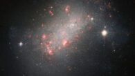 This Hubble image shows NGC 1156, a dwarf irregular galaxy located 25 million light-years away in the constellation of Aries. The color image was made from separate exposures taken in the ultraviolet, visible and near-infrared regions of the spectrum with Hubble’s Wide Field Planetary Camera 2 (WFPC2) and Advanced Camera for Surveys (ACS). It is based on data obtained through five filters. The color results from assigning different hues to each monochromatic image associated with an individual filter. Image credit: NASA / ESA / Hubble / R.B. Tully / R. Jansen / R. Windhorst.