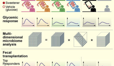 Consumption of non-nutritive sweeteners may induce person-specific, microbiome-dependent glycemic alterations, necessitating future assessment of clinical implications. Image credit: Suez et al., doi: 10.1016/j.cell.2022.07.016.