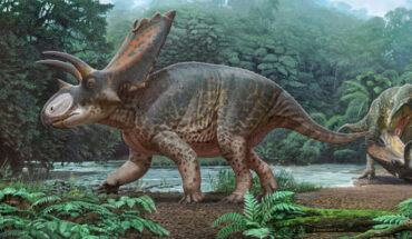 Life reconstruction of Bisticeratops froeseorum. Image credit: Sergey Krasovskiy.