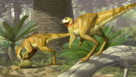 An artist’s impression of a hypsilophodont dinosaur. Image credit: James McKinnon.