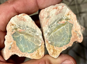 Paleontologists Reconstruct Small Plant-Eating Dinosaur from Opalized ...