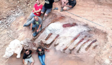 Paleontologists with the fossilized remains of a Jurassic brachiosaurid dinosaur. Image credit: Instituto Dom Luiz, University of Lisbon.