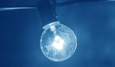 Yang et al. provide new insights into the mechanisms by which blue light interferes with vital metabolic pathways that are conserved between fly and human cells. Image credit: Pexels.