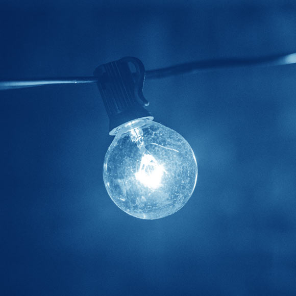 Yang et al. provide new insights into the mechanisms by which blue light interferes with vital metabolic pathways that are conserved between fly and human cells. Image credit: Pexels.