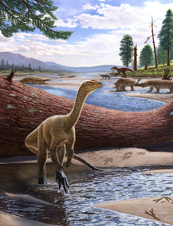 Life reconstruction of Mbiresaurus raathi (foreground) with the rest of the Zimbabwean animal assemblage in the background: two rhynchosaurs (front right), an aetosaur (left), and a herrerasaurid dinosaur chasing a cynodont (back right). Image credit: Andrey Atuchin.