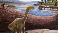 Life reconstruction of Mbiresaurus raathi (foreground) with the rest of the Zimbabwean animal assemblage in the background: two rhynchosaurs (front right), an aetosaur (left), and a herrerasaurid dinosaur chasing a cynodont (back right). Image credit: Andrey Atuchin.