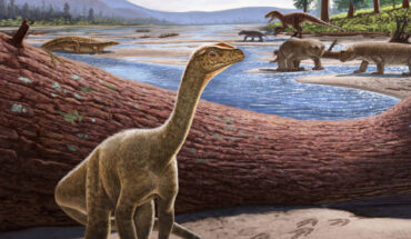 Life reconstruction of Mbiresaurus raathi (foreground) with the rest of the Zimbabwean animal assemblage in the background: two rhynchosaurs (front right), an aetosaur (left), and a herrerasaurid dinosaur chasing a cynodont (back right). Image credit: Andrey Atuchin.
