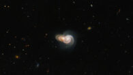 This Hubble image shows two overlapping spiral galaxies: LEDA 2073461 and SDSS J115331.86+360024.2. Image credit: NASA / ESA / Hubble / W. Keel.