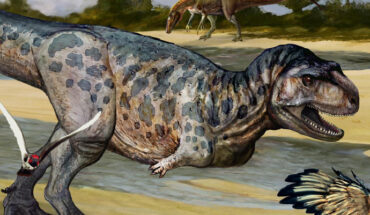An artist’s reconstruction of Elemgasem nubilus. Image credit: Abel German Montes.