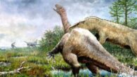 A reconstruction of Tuebingosaurus maierfritzorum. The cortical bone on the left side of the fossil is fractured into flakes, which can be explained if the carcass was exposed over a long time on the mud, two to four years, before being buried -- in the reconstruction, the animal will fall to its right body side. The reconstruction shows the animal sinking in a mud trap, attacked by a rauisuchian, Teratosaurus, which has also been found in the Trossingen Formation in Baden-Württemberg. In the background, a herd of Plateosaurus trossingensis runs away from the scene. The flora in the swamp is reconstructed based on fossils from the Germanic basin, with shoots of horsetails and ferns covering the swamp and a forest comprising cycads, lycophytes and coniferous plants. Image credit: O.R.R. Fernández & I. Werneburg, doi: 10.3897/vz.72.e86348.