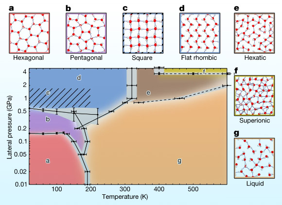 Kapil et al. describe the phase behavior of monolayer-confined water by calculating its pressure-temperature phase diagram: (a-g) the pressure-temperature phase diagram of monolayer water was calculated using an machine learning potential that delivers first-principles accuracy; the solid and dashed lines indicate first-order and continuous phase transitions, respectively; the gray regions indicate the statistical uncertainty for solid-solid phase transitions and, for the other transitions, the uncertainties arising from studying a finite number of thermodynamic states; the diagonally hatched area indicates the region in which square and flat-rhombic phases are near degenerate; diagrams of the hexagonal (a), pentagonal (b), square (c), flat-rhombic (d), hexatic (e), superionic (f) and liquid (g) phases are shown with oxygen atoms in red, hydrogen atoms in gray and hydrogen bonds shown by blue lines. Image credit: Kapil et al., doi: 10.1038/s41586-022-05036-x.