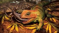 An artistic interpretation of Opisthiamimus gregori. Image credit: Julius Csotonyi / Smithsonian Institution.