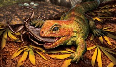 An artistic interpretation of Opisthiamimus gregori. Image credit: Julius Csotonyi / Smithsonian Institution.