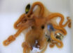 Callistoctopus xiaohongxu, live specimen. Image credit: Zheng et al., doi: 10.3897/zookeys.1121.86264.