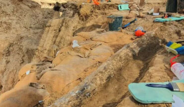The 500,000-year-old tusk of the straight-tusked elephant (Palaeoloxodon antiquus). Image credit: Israel Antiquities Authority.
