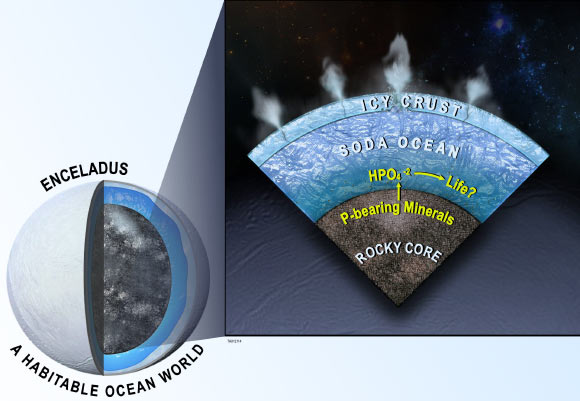 Phosphorus in the form of orthophosphate (e.g., HPO4-2) is likely abundant in the subsurface ocean of Saturn’s moon Enceladus; a soda or alkaline ocean (containing NaHCO3 and/or Na2CO3) inside of Enceladus interacts geochemically with a rocky core; modeling indicates that this interaction promotes the dissolution of phosphate minerals, making orthophosphate readily available to possible life in the ocean; because phosphorus is an essential ingredient for life, this finding bolsters mounting evidence for habitability within this small Saturnian moon. Image credit: Southwest Research Institute.