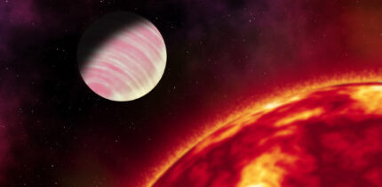 The Jupiter-sized planet TOI-5205b has a surface temperature of 737 K and orbits its parent star, TOI-5205, at a distance of 0.02 AU. Image credit: Sci.News.
