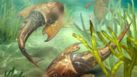 Life reconstructions of Tujiaaspis vividus. Image credit: Qiuyang Zheng.