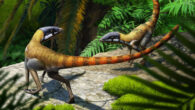 Life reconstruction of Scleromochlus taylori. Image credit: Gabriel Ugueto.