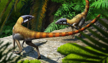 Life reconstruction of Scleromochlus taylori. Image credit: Gabriel Ugueto.