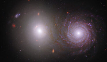 Windhorst et al. traced light that was emitted by the bright elliptical galaxy VV 191a (left) through the spiral galaxy VV 191b (right). As a result, they were able to identify the effects of interstellar dust in the spiral galaxy. Webb’s near-infrared data also shows us the galaxy’s longer, extremely dusty spiral arms in far more detail, giving them an appearance of overlapping with the central bulge of the bright white elliptical galaxy, though the pair are not interacting. In this image, green, yellow, and red were assigned to Webb’s near-infrared data taken in 0.9, 1.5, and 3.56 microns (F090W, F150W, and F356W respectively). Blue was assigned to two Hubble filters, ultraviolet data taken in 0.34 microns (F336W) and visible light in 0.61 microns (F606W). Image credit: NASA / ESA / CSA / Rogier Windhorst, Arizona State University / William Keel, University of Alabama / Stuart Wyithe, University of Melbourne / JWST PEARLS Team.