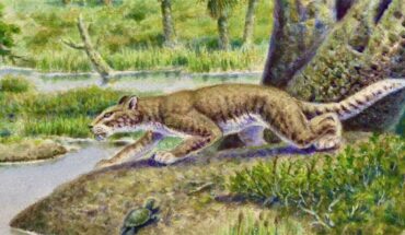 An artist’s impression of Pangurban egiae. Image credit: Kyoto University / Jim Melli, San Diego Natural History Museum.