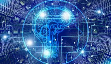 Christian Matthias Kerskens & David López Pérez believe our brains could use quantum computation. Image credit: Gerd Altmann.