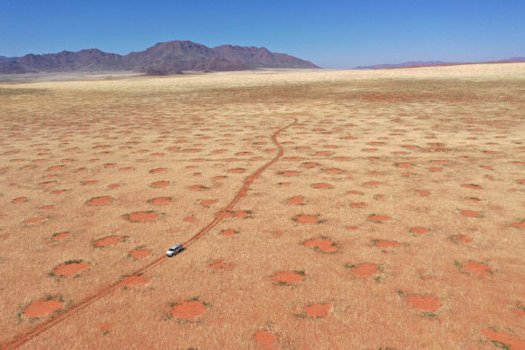 Drone image of car driving through the NamibRand Nature Reserve, one of the fairy-circle regions in Namibia where Getzin et al. undertook grass excavations, soil-moisture and infiltration measurements. Image credit: Stephan Getzin.