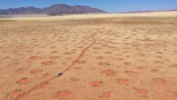 Drone image of car driving through the NamibRand Nature Reserve, one of the fairy-circle regions in Namibia where Getzin et al. undertook grass excavations, soil-moisture and infiltration measurements. Image credit: Stephan Getzin.