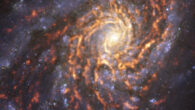 This composite image shows Messier 99, a grand design spiral galaxy located 42 million light-years away in the constellation of Coma Berenices. Image credit: ESO / PHANGS.