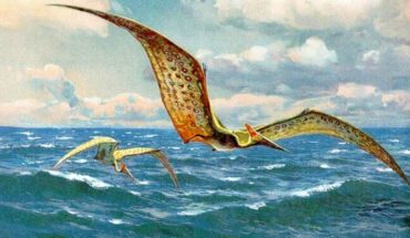 An artist’s impression of Pteranodon. Image credit: Heinrich Harder.