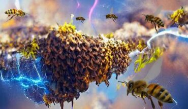 Honeybee swarm and atmospheric electricity. Image credit: Ellard Hunting.