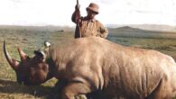 This colorized photo shows American President Theodore Roosevelt standing behind the carcass of a rhinocerous. Image credit: U.S. Library of Congress.