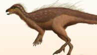 Life reconstruction of the thescelosaurine dinosaur Parksosaurus warreni, a close relative of Nevadadromeus schmitti. Image credit: Steveoc 86 / CC BY-SA 3.0.