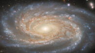 This Hubble image shows NGC 7038, a spiral galaxy some 220 million light-years away in the constellation of Indus. The color image is a composite of separate exposures acquired by Hubble’s Wide Field Camera 3 (WFC3) instrument. Image credit: NASA / ESA / Hubble / D. Jones / G. Anand / L. Shatz.