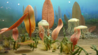 Diorama of Ediacaran organisms displayed at the Smithsonian Institution. Image credit: Ryan Somma / CC BY-SA 2.0.