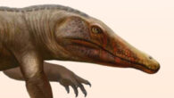 Life reconstruction of Stenoscelida aurantiacus. Image credit: Matheus Fernandes / Universidade Federal de Santa Maria.