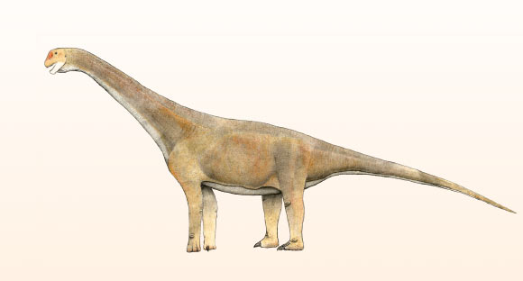 Life reconstruction of a macronarian dinosaur. Image credit: Levi Bernardo / CC BY-SA 3.0.