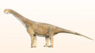 Life reconstruction of a macronarian dinosaur. Image credit: Levi Bernardo / CC BY-SA 3.0.
